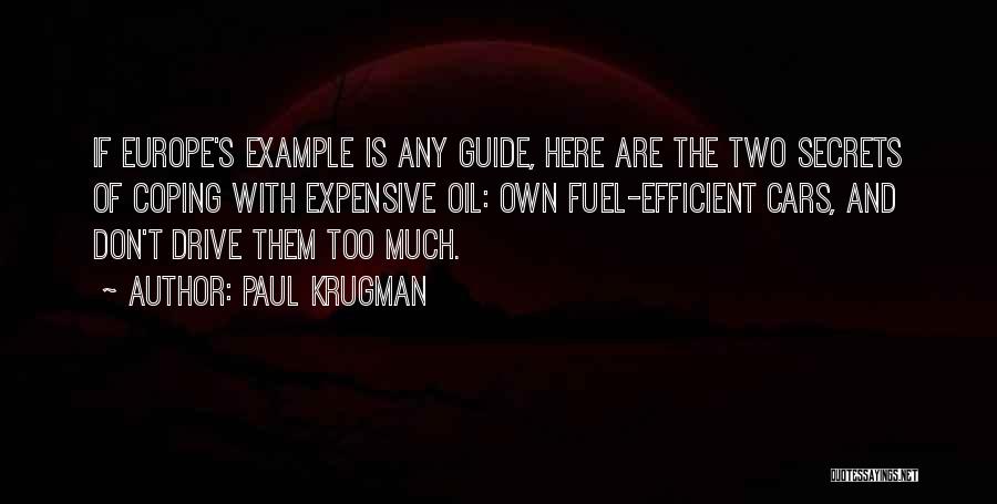 Expensive Cars Quotes By Paul Krugman