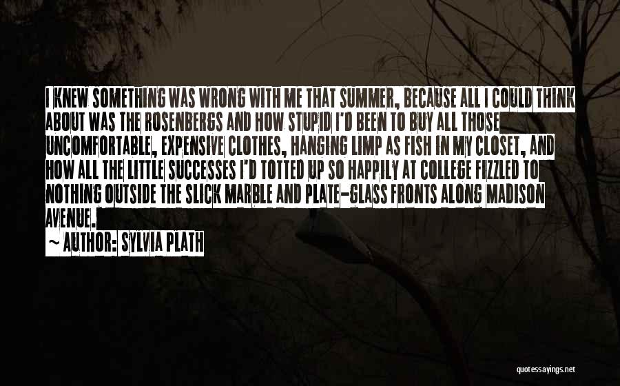 Expensive Clothes Quotes By Sylvia Plath