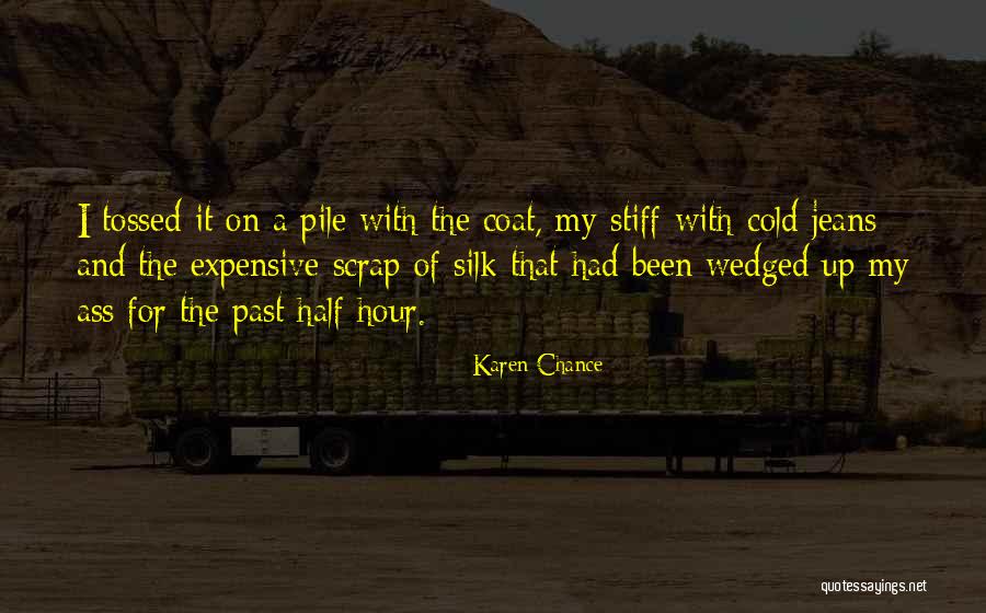 Expensive Jeans Quotes By Karen Chance Expensive Jeans Quotes By Karen Chance
