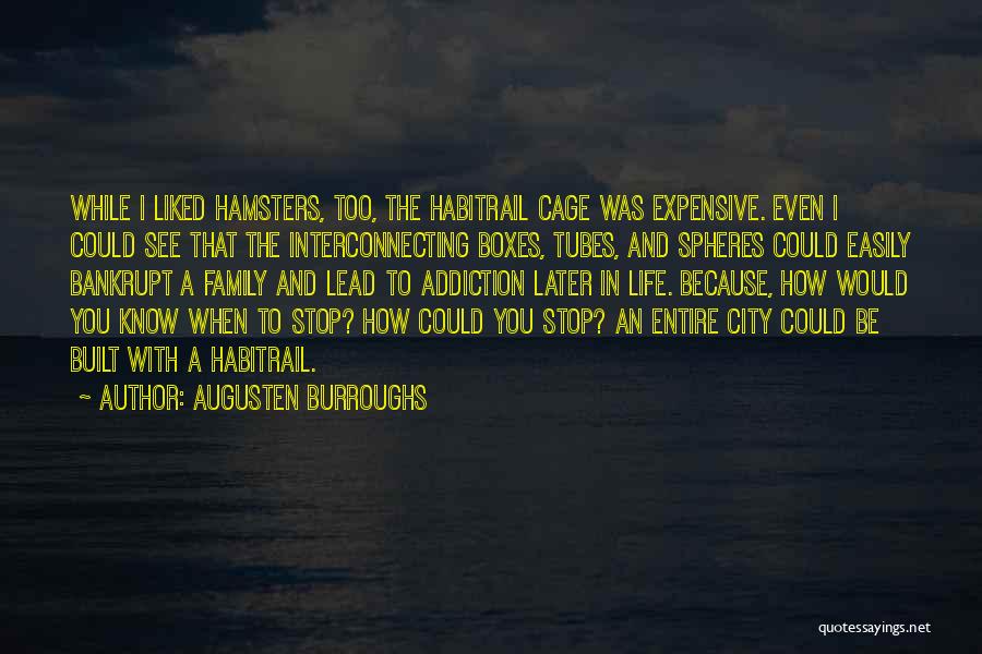 Expensive Life Quotes By Augusten Burroughs