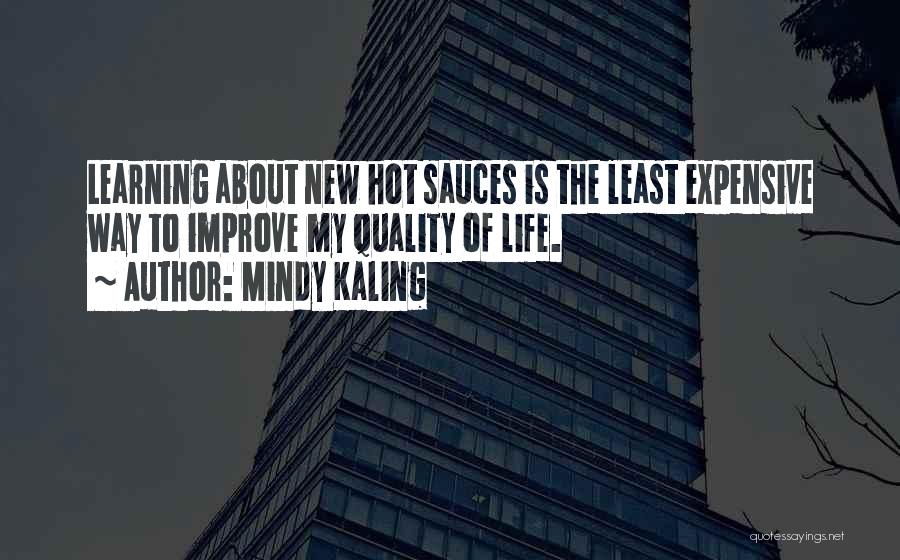 Expensive Life Quotes By Mindy Kaling