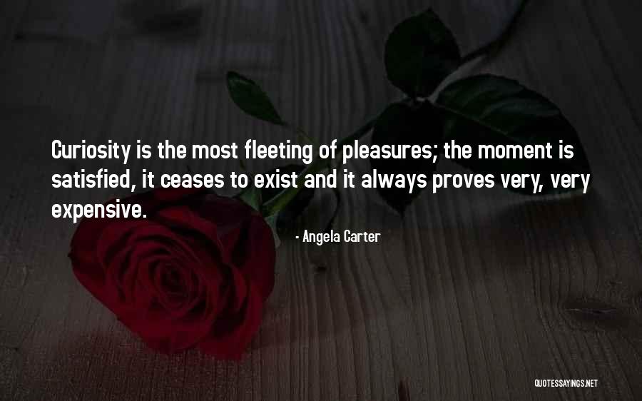 Expensive Pleasures Quotes By Angela Carter Expensive Pleasures Quotes By Angela Carter
