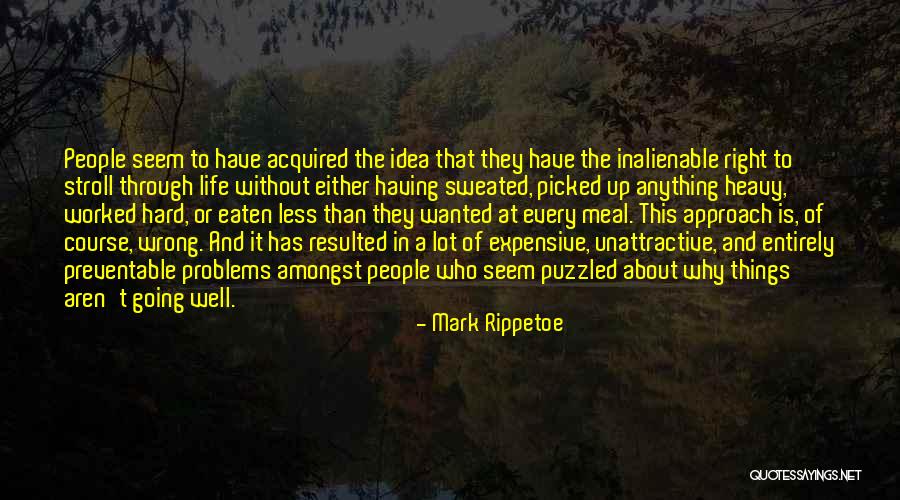 Expensive Things Quotes By Mark Rippetoe Expensive Things Quotes By Mark Rippetoe