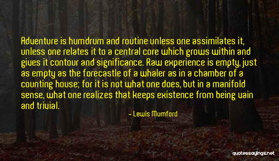 Experience And Adventure Quotes By Lewis Mumford Experience And Adventure Quotes By Lewis Mumford