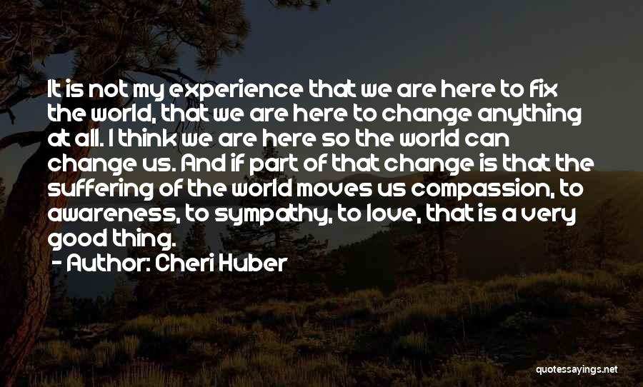 Experience And Change Quotes By Cheri Huber