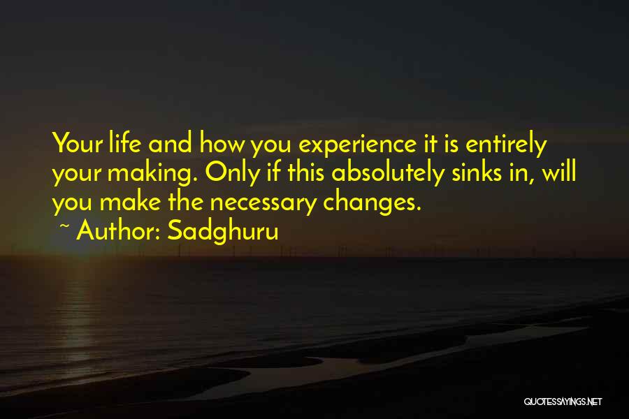 Experience And Change Quotes By Sadghuru