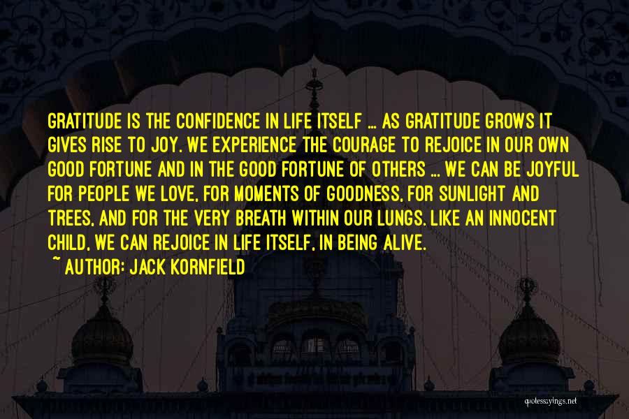 Experience And Confidence Quotes By Jack Kornfield