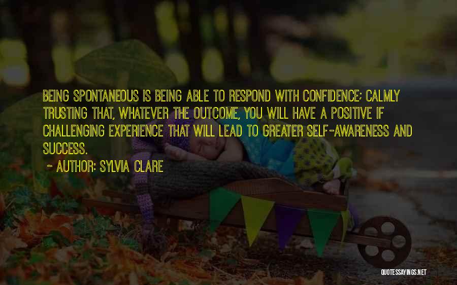 Experience And Confidence Quotes By Sylvia Clare