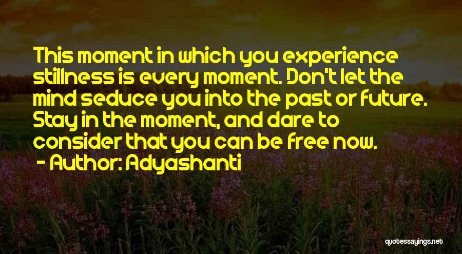 Experience And Future Quotes By Adyashanti