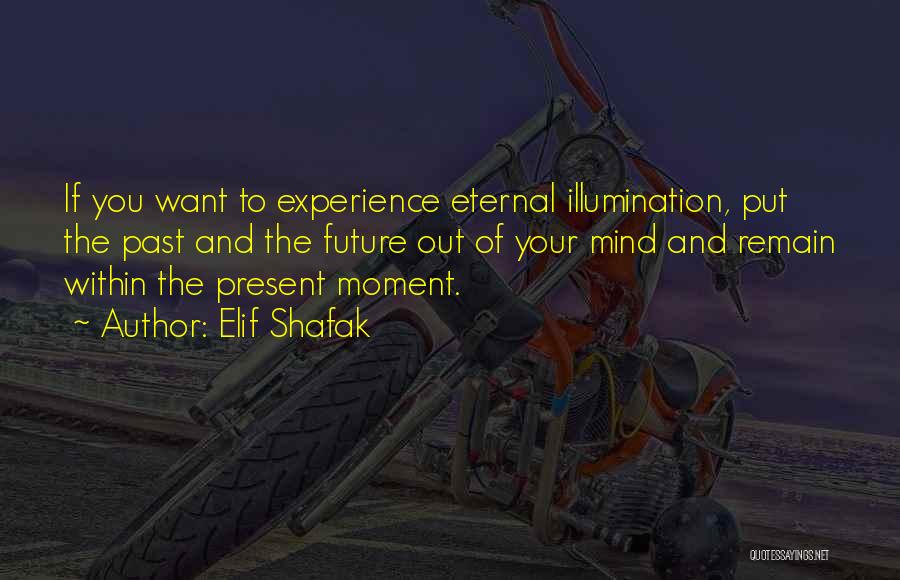 Experience And Future Quotes By Elif Shafak