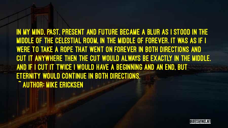 Experience And Future Quotes By Mike Ericksen