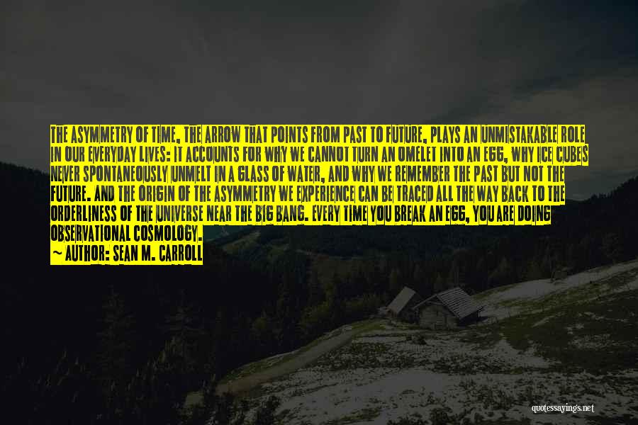 Experience And Future Quotes By Sean M. Carroll