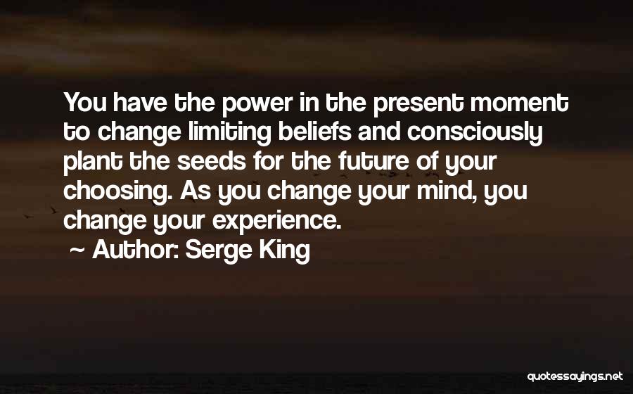 Experience And Future Quotes By Serge King