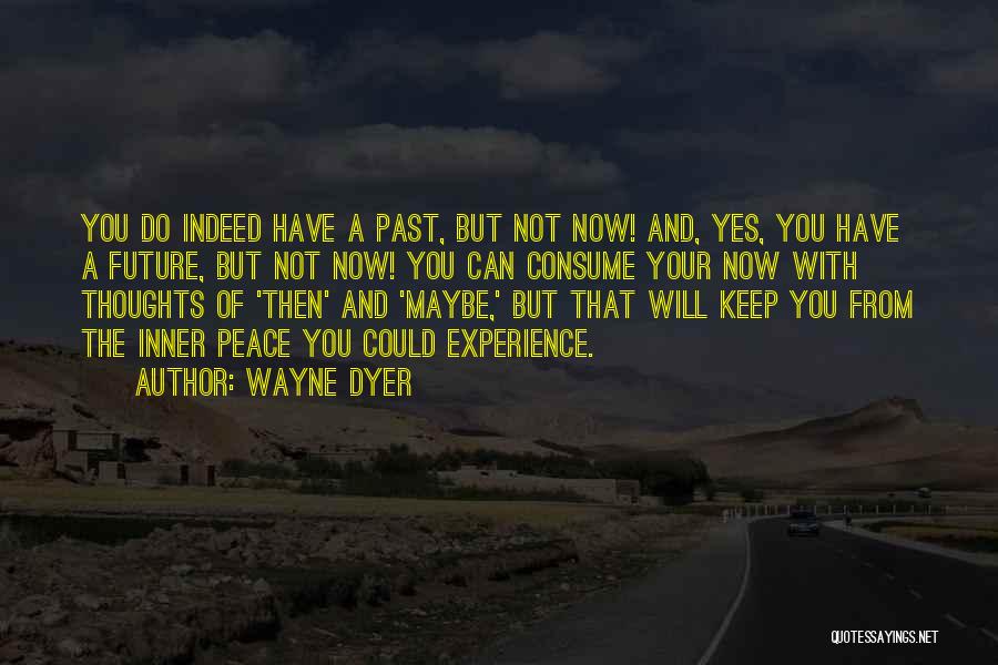 Experience And Future Quotes By Wayne Dyer