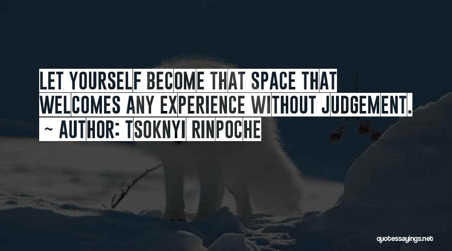 Experience And Judgement Quotes By Tsoknyi Rinpoche