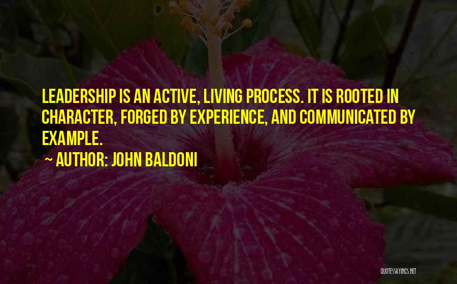 Experience And Leadership Quotes By John Baldoni