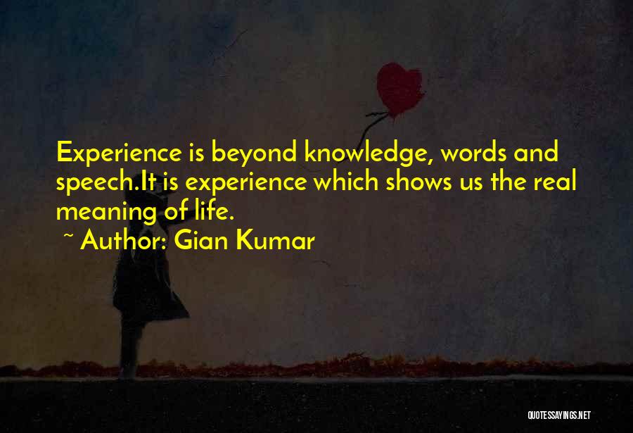 Experience And Life Quotes By Gian Kumar