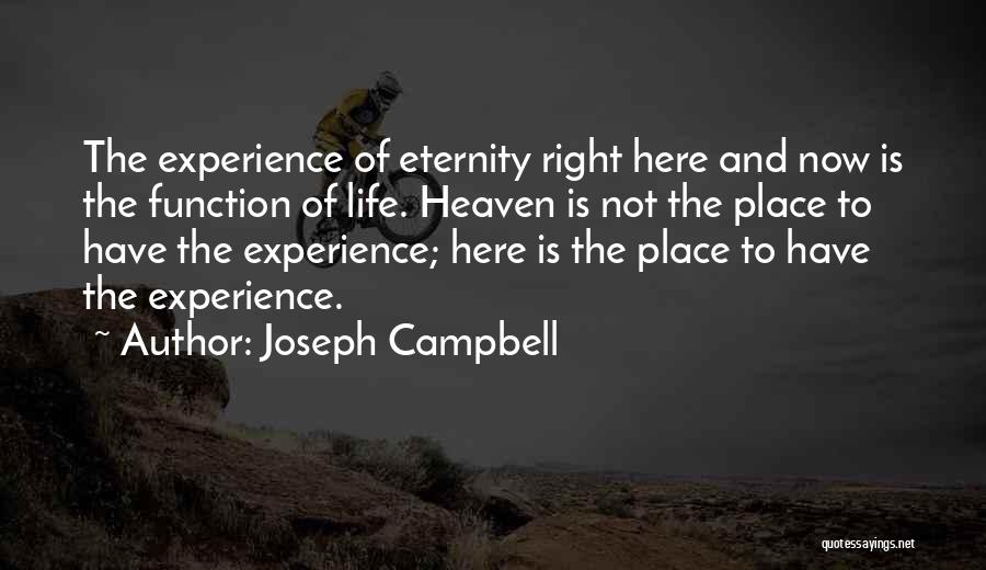 Experience And Life Quotes By Joseph Campbell