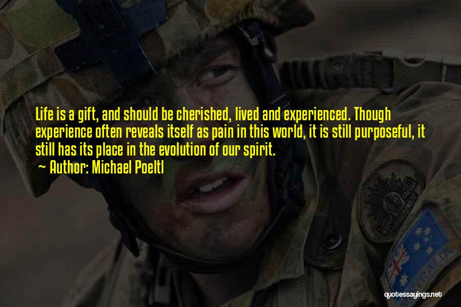 Experience And Life Quotes By Michael Poeltl Experience And Life Quotes By Michael Poeltl
