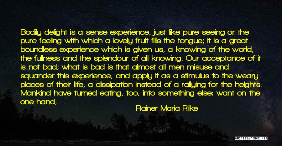 Experience And Life Quotes By Rainer Maria Rilke