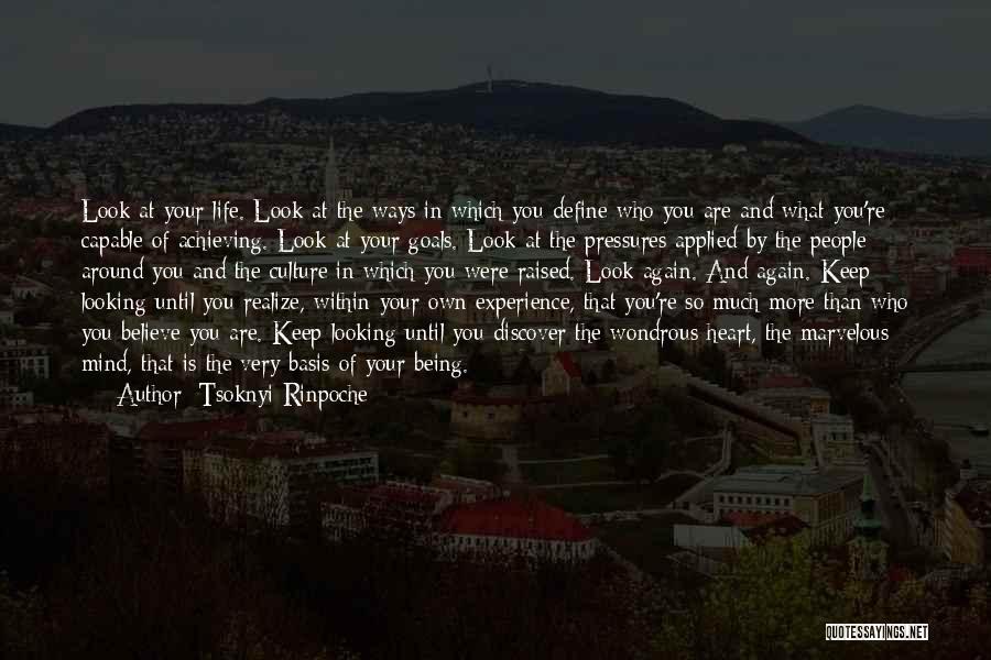 Experience And Life Quotes By Tsoknyi Rinpoche