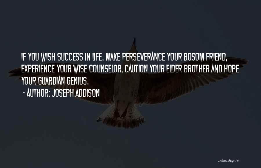 Experience And Success Quotes By Joseph Addison