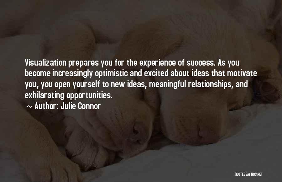 Experience And Success Quotes By Julie Connor