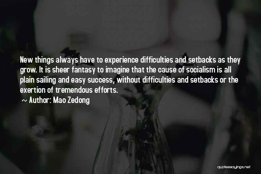 Experience And Success Quotes By Mao Zedong