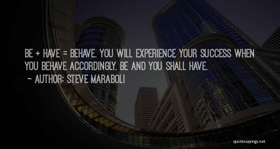 Experience And Success Quotes By Steve Maraboli