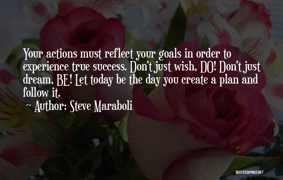 Experience And Success Quotes By Steve Maraboli