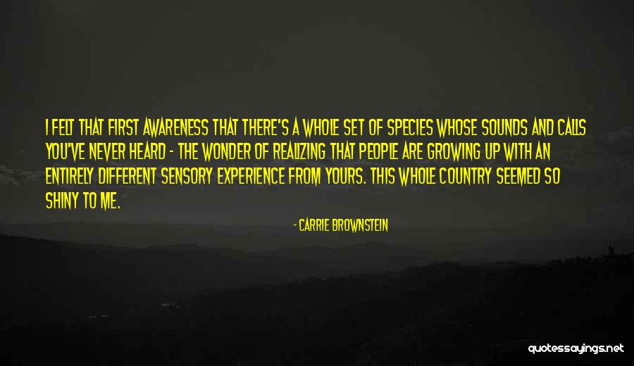 Experience And Travel Quotes By Carrie Brownstein