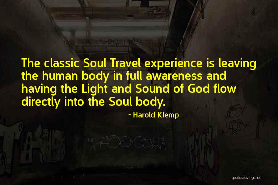 Experience And Travel Quotes By Harold Klemp