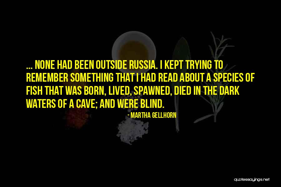 Experience And Travel Quotes By Martha Gellhorn