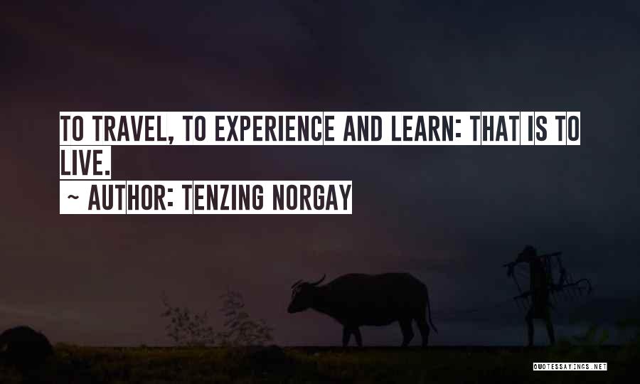 Experience And Travel Quotes By Tenzing Norgay