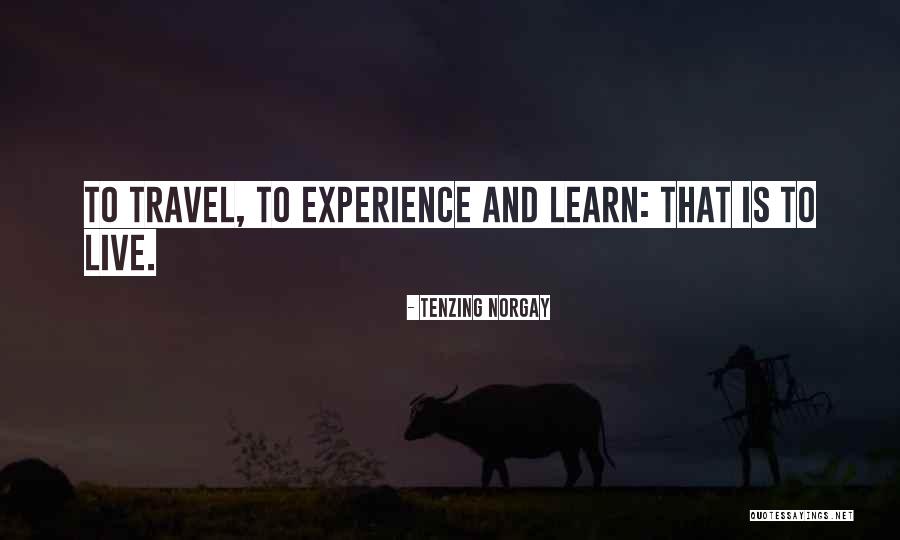 Experience And Travel Quotes By Tenzing Norgay