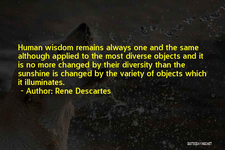 Experience And Wisdom Quotes By Rene Descartes