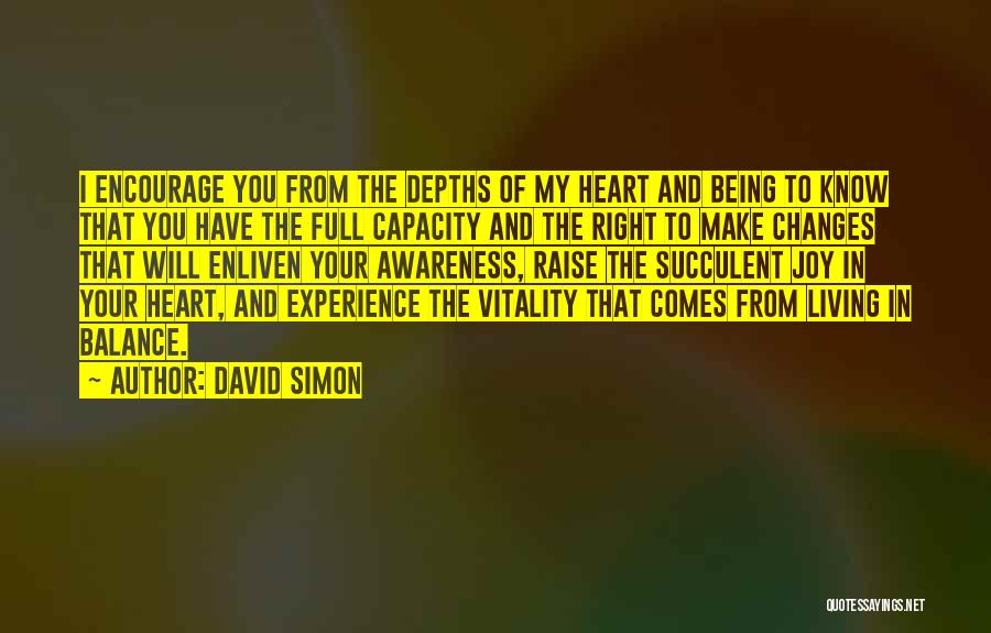 Experience Changes You Quotes By David Simon