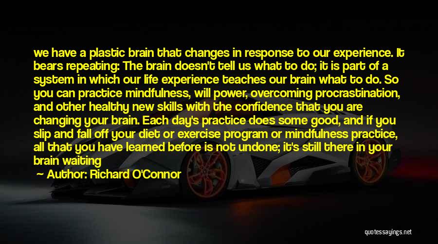 Experience Changes You Quotes By Richard O'Connor