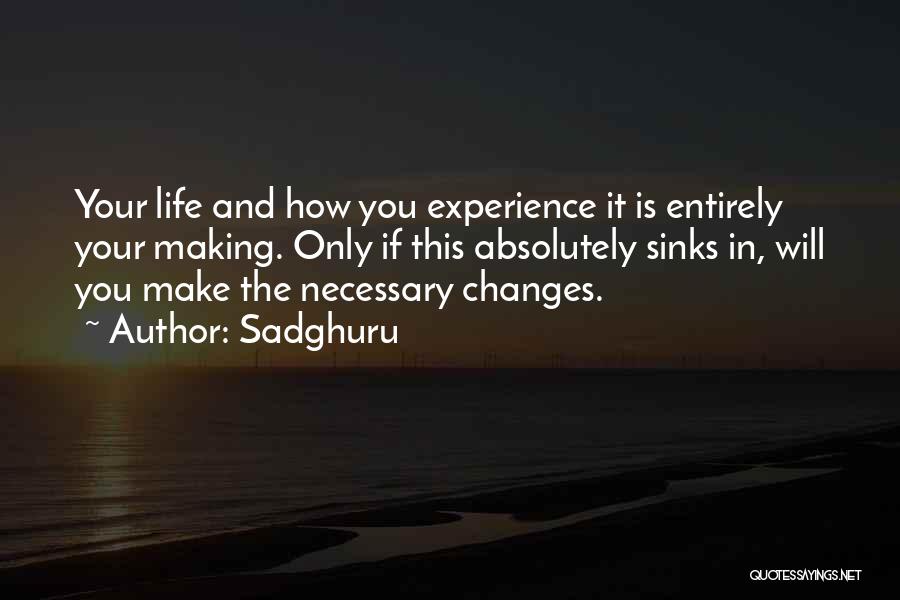 Experience Changes You Quotes By Sadghuru