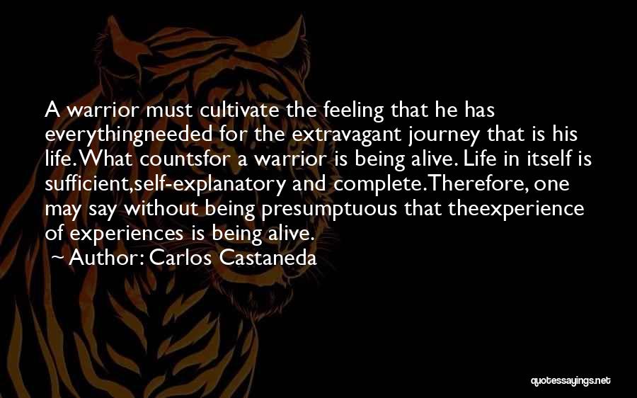 Experience Counts Quotes By Carlos Castaneda