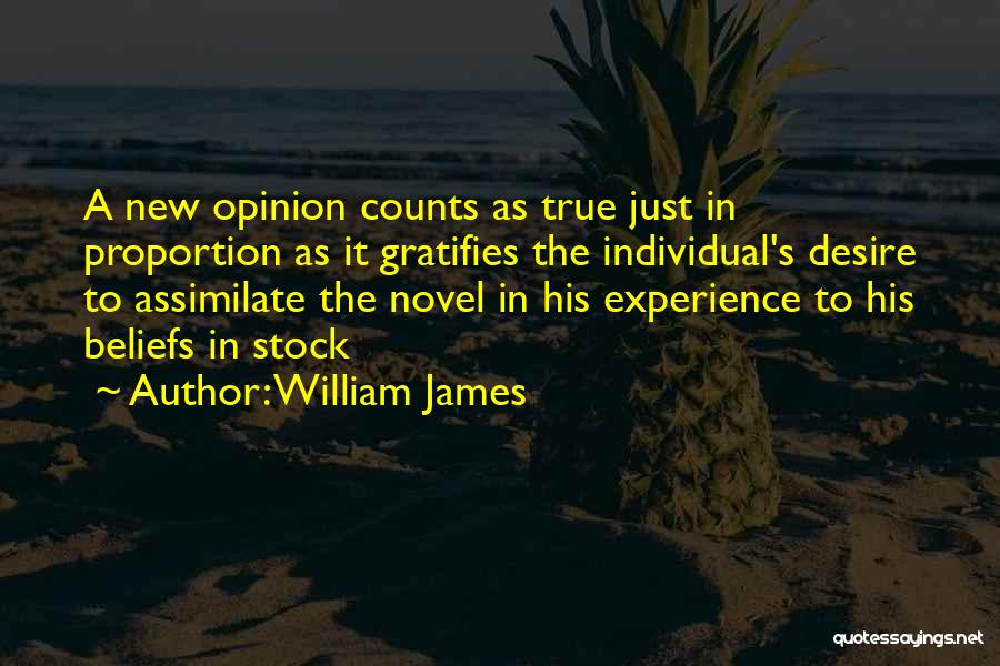 Experience Counts Quotes By William James