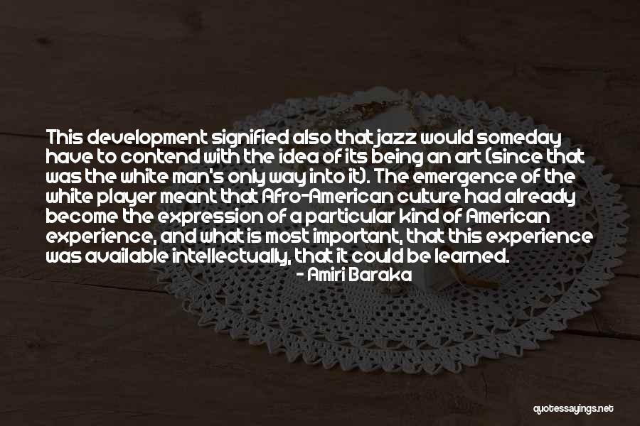 Experience Culture Quotes By Amiri Baraka Experience Culture Quotes By Amiri Baraka