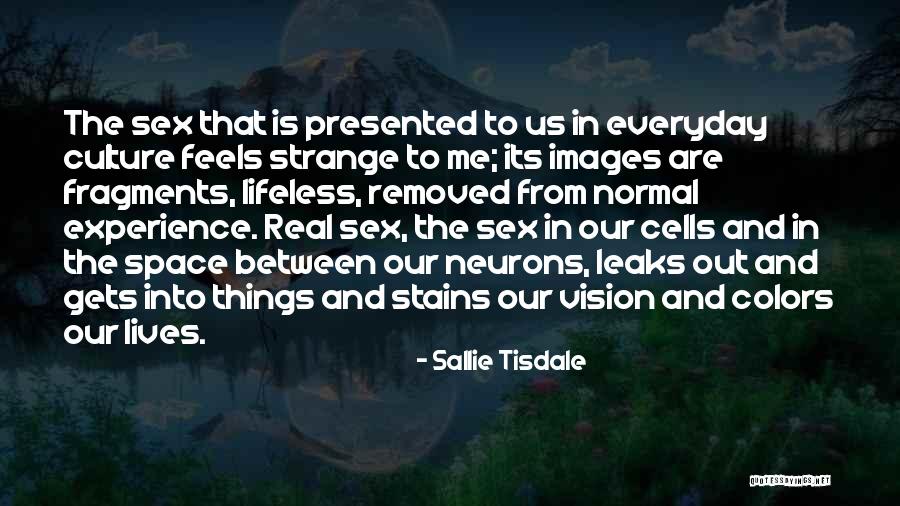 Experience Culture Quotes By Sallie Tisdale Experience Culture Quotes By Sallie Tisdale