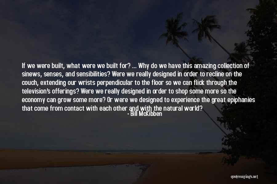 Experience Economy Quotes By Bill McKibben