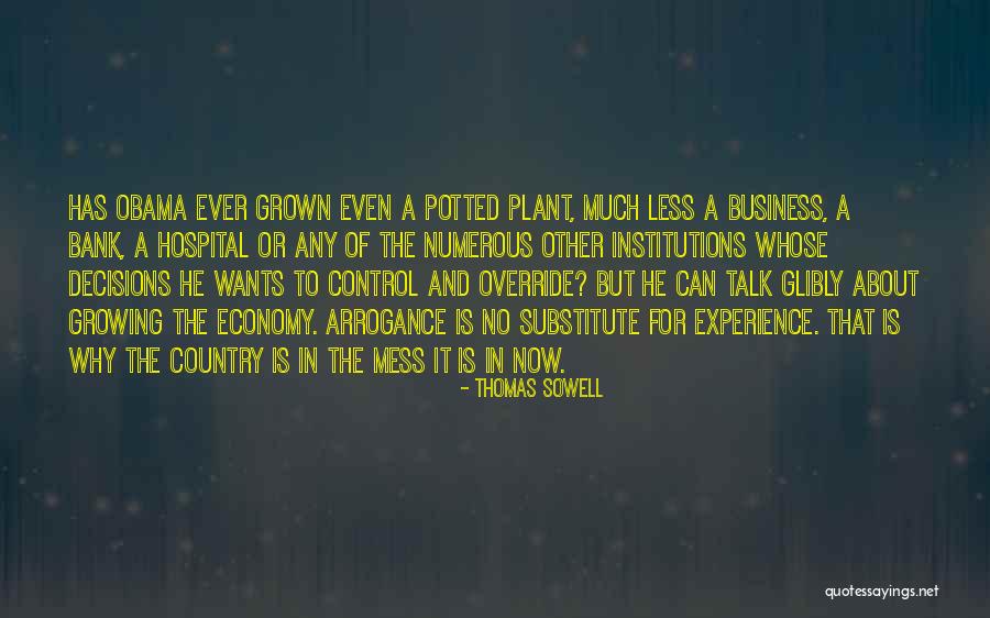 Experience Economy Quotes By Thomas Sowell