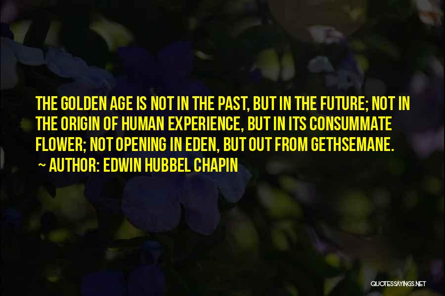 Experience From Past Quotes By Edwin Hubbel Chapin