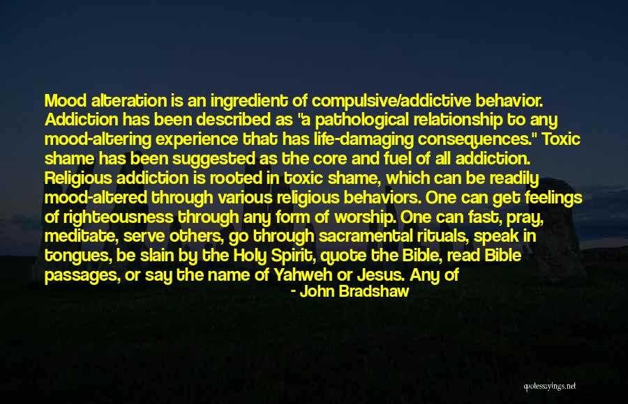 Experience From The Bible Quotes By John Bradshaw