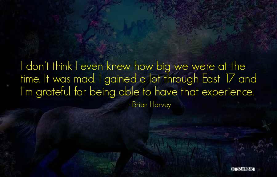 Experience Gained Quotes By Brian Harvey Experience Gained Quotes By Brian Harvey