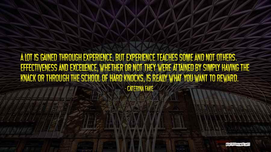 Experience Gained Quotes By Caterina Fake Experience Gained Quotes By Caterina Fake