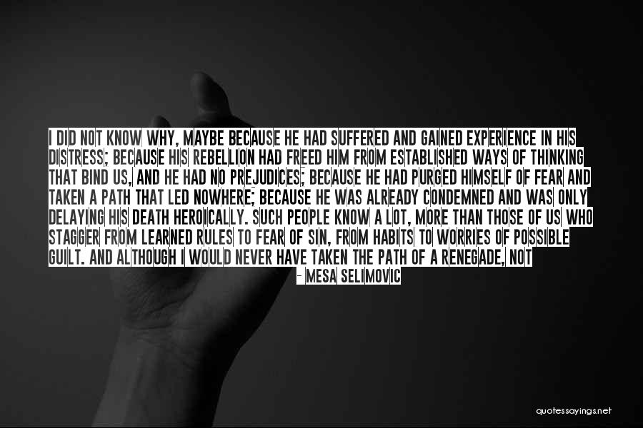 Experience Gained Quotes By Mesa Selimovic Experience Gained Quotes By Mesa Selimovic